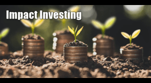 Impact Investing: Aligning Profit with Purpose in the Global Economy
