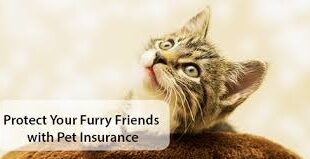 The Importance of Pet Insurance: Protecting Your Furry Friends